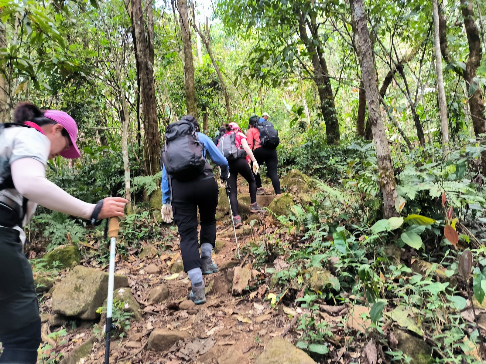 Mt Fansipan Trekking 4 Day Tour